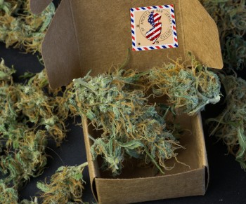 True or False, Moving Cannabis to a Schedule 3 Drug Means Sending Weed Through the Mail, UPS, or Fed Ex Is Now Legal?