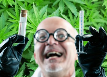 Cannabis Research Fraud? - Over Half of the $1.5 Billion Spent on Marijuana Research Was to Find Harmful and Adverse Effects