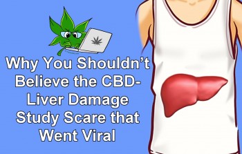 Why You Shouldn’t Believe the CBD-Liver Damage Study Scare that Went Viral