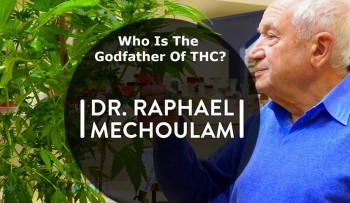 Why Is Dr. Raphael Mechoulam The Godfather of THC?