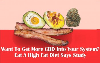Want To Get More CBD Into Your System? Eat A High Fat Diet Says Study