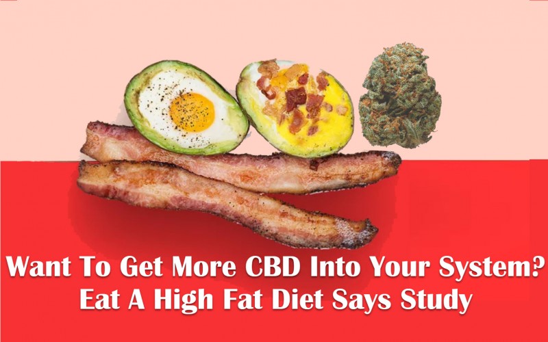 cbd high fat diet