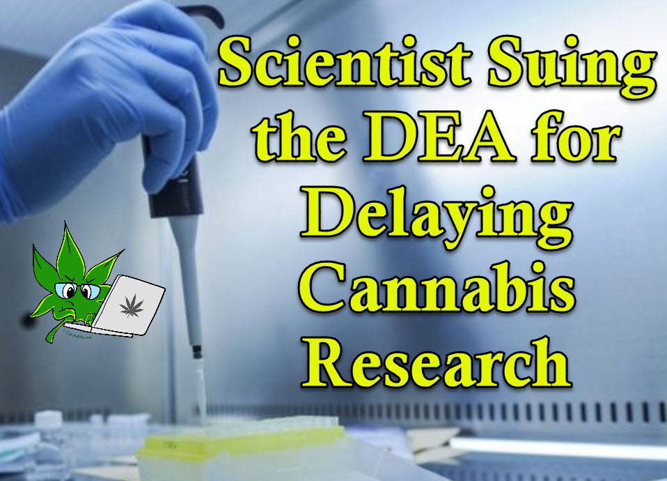 Scientist Suing The DEA For Delaying Cannabis Research