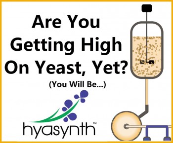 Are You Getting High On Yeast, Yet? You Will Be Soon