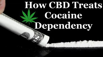 How CBD Treats Cocaine Dependency