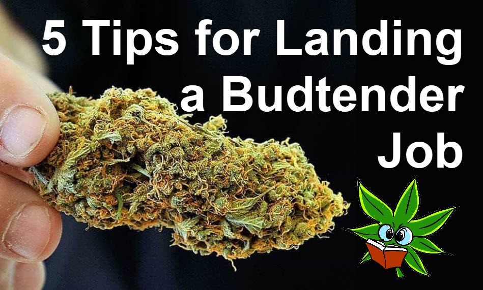 5 Tips for Landing a Budtender Job
