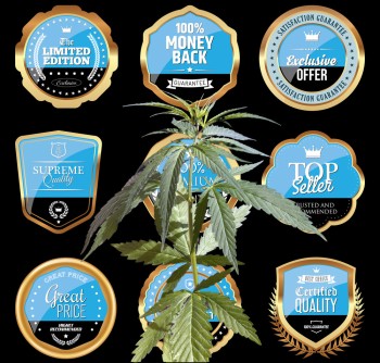 A Quality Seal of Assurance on Hemp Products? - Would It Quiet Fears about Hemp-Derived Delta-8 and Delta-9 THC?