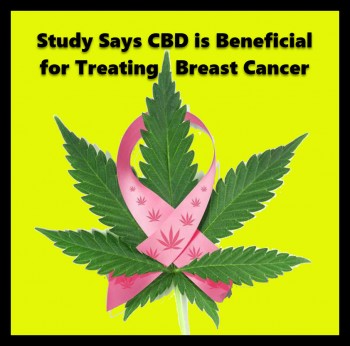 Study Says CBD is Beneficial for Treating Breast Cancer