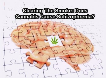 Clearing The Smoke: Does Cannabis Cause Schizophrenia?