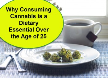 Why Consuming Cannabis is a Dietary Essential Over the Age of 25