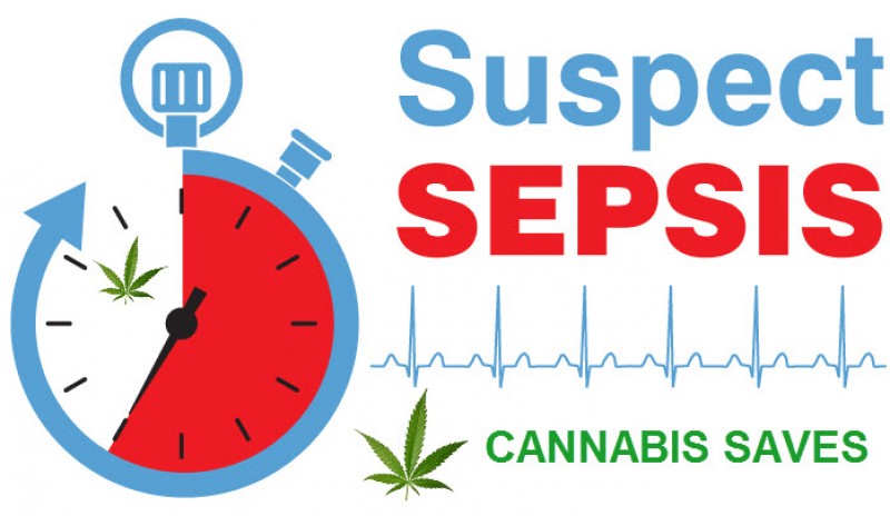 Cannabis for Sepsis