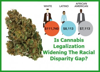 Is Cannabis Legalization Widening The Racial Disparity Gap?
