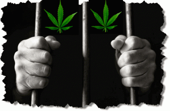 How The War On Drugs Turned You Into Property of the State
