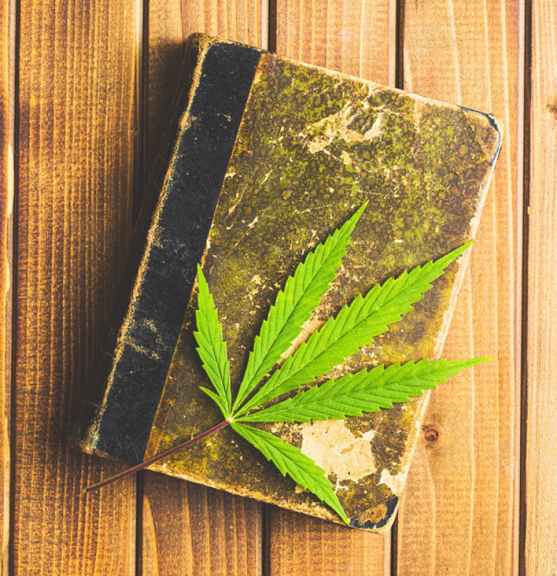 cannabis grower journal