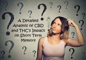 A Detailed Analysis of CBD and THC’s Impact on Short Term Memory