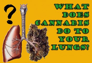 What Does Cannabis Do To Your Lungs?