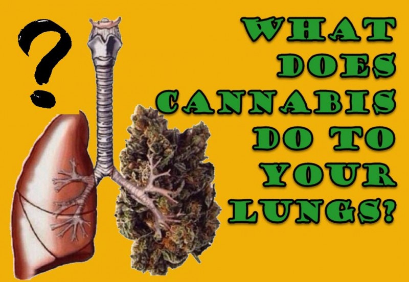 cannabis and your lungs