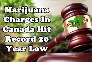 Marijuana Charges in Canada Hit Record 20 Year Low