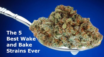 5 Best Strains For An Awesome Wake And Bake Experience