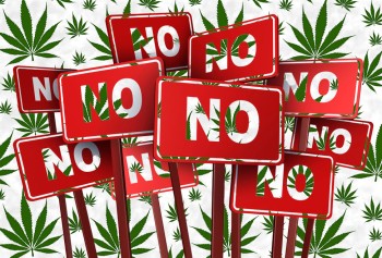 Trump's Not So Cannabis Friendly Cabinet Picks - His VP, AG, Head of the CDC and FDA Nominees all Hate Legal Weed