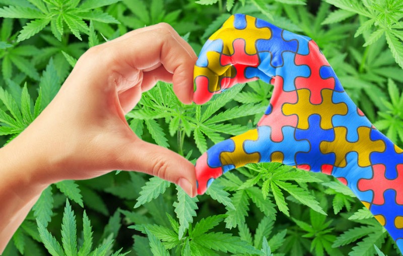 Does CBD work for autism