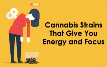 Cannabis Strains That Give You Energy