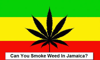 Can You Smoke Weed In Jamaica? Does A Bear @#$% In The Woods?