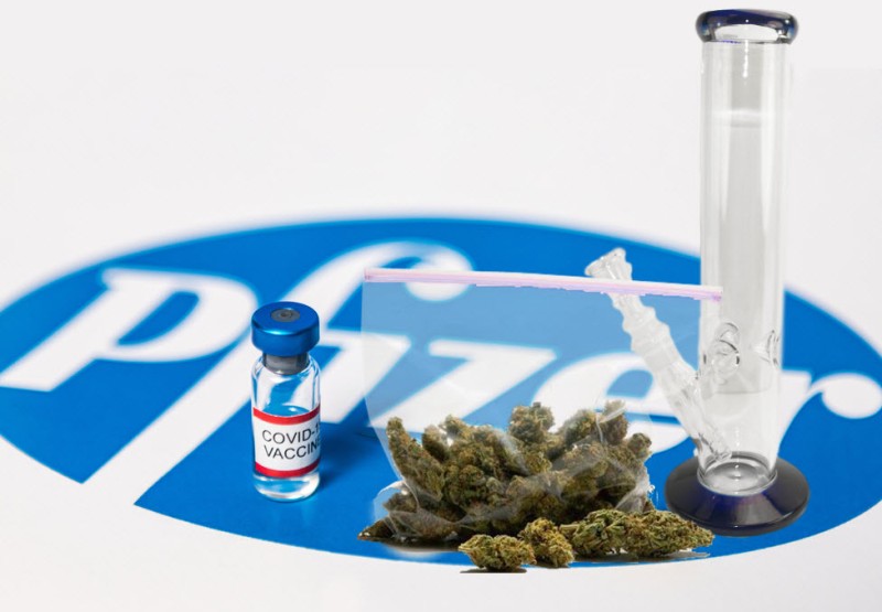 Pfizer buys Arena for weed indusry