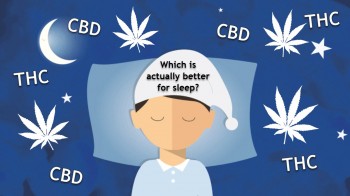 THC or CBD For Sleep Issues?