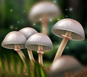 Magic Mushrooms Might Just Be the World's Most Powerful Tool to Fight Depression Says New UK Medical Study