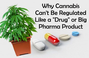Why Cannabis Can't Be Regulated like a Drug or Big Pharma Product