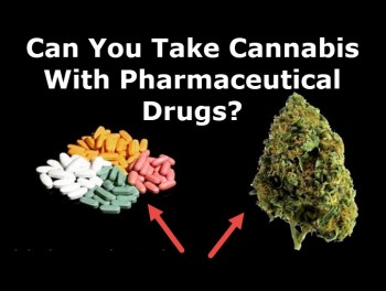 Can You Take Cannabis With Pharmaceutical Drugs?