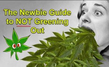 The Newbie Guide to NOT Greening Out
