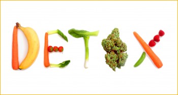 Need a Cannabis Detox, Fast? - Best Drinks to Flush Your Kidneys and Clean THC Out of Your Body