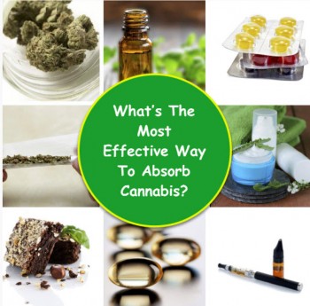 What’s The Most Effective Way To Absorb Cannabis?