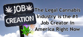 The Legal Cannabis Industry is the #1 Job Creator in America Right Now