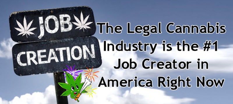 cannabis job creation