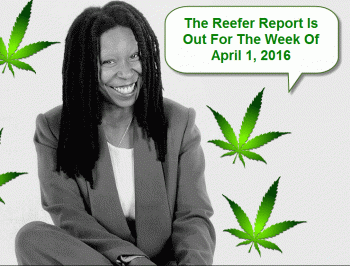 The Reefer Report For The Week Of April 1, 2016