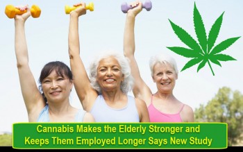 Cannabis Makes the Elderly Stronger and Keeps Them Employed Longer Says New Study
