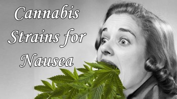 Top 5 Cannabis Strains For Nausea