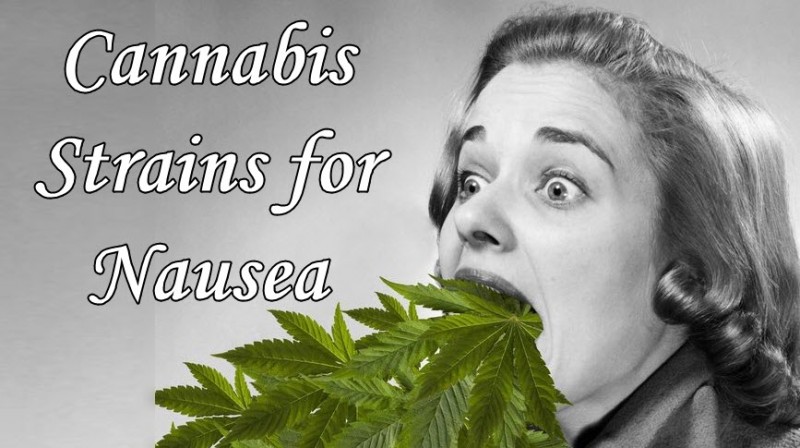 cannabis and nausea