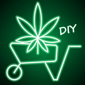 DIY Fertilizer Secrets That Will Take Your Marijuana Plants to the Next Level
