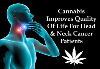 Cannabis Improves Quality Of Life For Head & Neck Cancer Patients