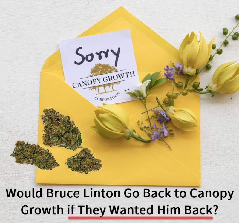 Bruce Linton Go Back to Canopy
