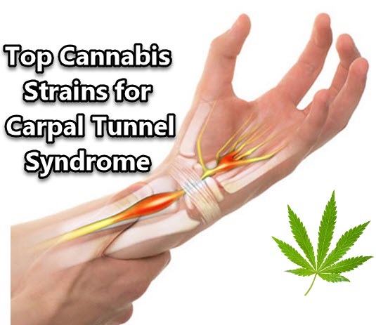 Top Cannabis Strains for Carpal Tunnel Syndrome