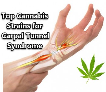 Top Cannabis Strains for Carpal Tunnel Syndrome