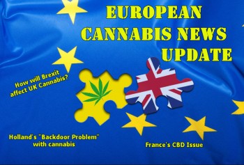 Brexit and Cannabis - The European Cannabis News Report