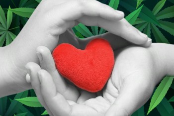 Baked and Benevolent: Are Stoners More Empathetic and Understanding to Other People's Struggles?