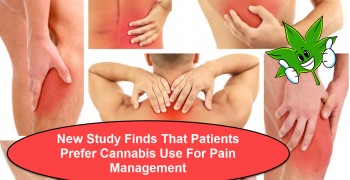 New Study Finds That Patients Prefer Cannabis Use For Pain Management