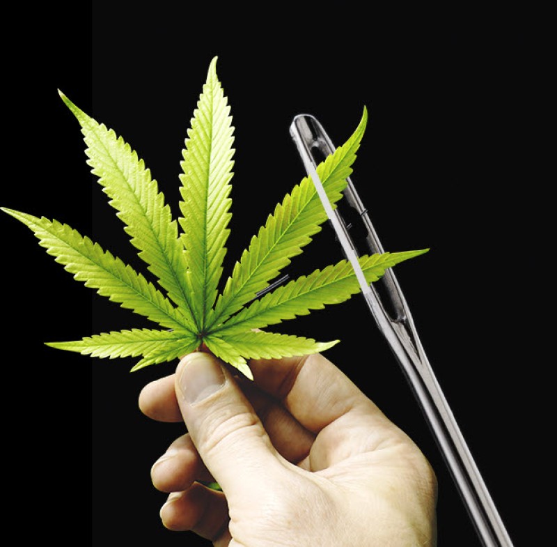 biggest loophole in drug law history